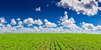 PELOTAS SEDIA CONGRESSO NACIONAL DE DIREITO AGRÁRIO FOCANDO EM SEGURANÇA JURÍDICA E DESENVOLVIMENTO DO AGRONEGÓCIO
