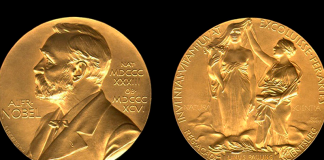 ARTIGO – O NOBEL DE ECONOMIA E O BRASIL
