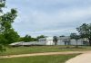 INDÚSTRIA GAÚCHA DE PECAN ESTÁ PRÓXIMA DE EXPORTAR PARA A CHINA