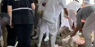 MAIS DE 12 TONELADAS DE CARNE APREENDIDAS EM ENTREPOSTO CLANDESTINO EM PELOTAS