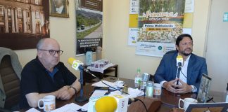 HALLEY LINO DE SOUZA ASSUME COMO DEPUTADO ESTADUAL DIA 18.12 NA A.L. – RS – Podcast