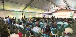 MACROECONOMIA E COMÉRCIO INTERNACIONAL DO ARROZ PAUTAM PAINÉS DA ABERTURA DA COLHEITA