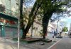 PREFEITURA E SINDILOJAS PLANEJAM MELHORIAS PARA O COMÉRCIO DE PELOTAS