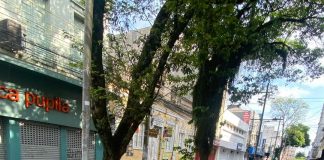 PREFEITURA E SINDILOJAS PLANEJAM MELHORIAS PARA O COMÉRCIO DE PELOTAS