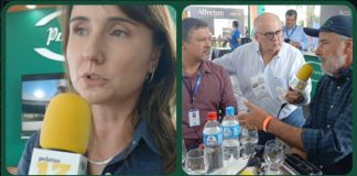 PLANFER TREZE HORAS DIRETO DA ABERTURA DA COLHEITA DO ARROZ – Podcast