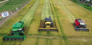 PLANFER NA ABERTURA DA COLHEITA DO ARROZ – TREZE HORAS ESPECIAL