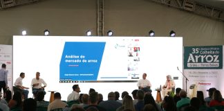 CÂMARA SETORIAL DO ARROZ DEBATE CUSTOS DE PRODUÇÃO ANUNCIADOS PELA CONAB