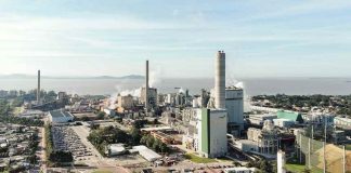 CMPC DISPUTA COM GIGANTES DA CELULOSE