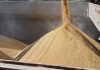 FEDERARROZ CONFIRMA EXPORTAÇÃO DE SACA DE ARROZ A R$ 82 NO PORTO DE RIO GRANDE