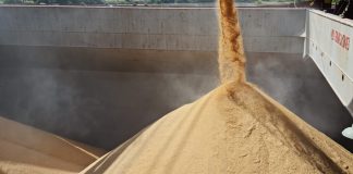FEDERARROZ CONFIRMA EXPORTAÇÃO DE SACA DE ARROZ A R$ 82 NO PORTO DE RIO GRANDE