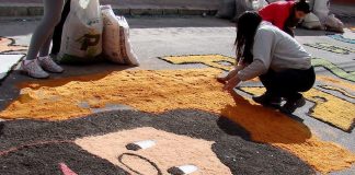 PELOTAS: TRÂNSITO TERÁ ALTERAÇÕES NOS FERIADOS