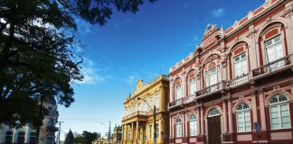 ARTIGO – CEM DIAS