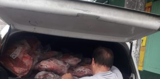 FISCALIZAÇÃO APREENDE MAIS DE 600 QUILOS DE CARNE