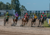 GP PRINCESA DO SUL DE TURFE ACONTECE NESTE FIM DE SEMANA EM PELOTAS