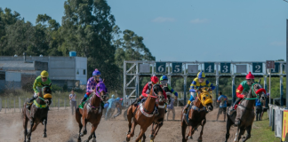 GP PRINCESA DO SUL DE TURFE ACONTECE NESTE FIM DE SEMANA EM PELOTAS