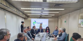 CRISE NO ARROZ ACENDE ALERTA EM BRASÍLIA: FEDERARROZ COBRA RESPOSTA IMEDIATA