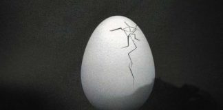 ARTIGO – O OVO DA SERPENTE