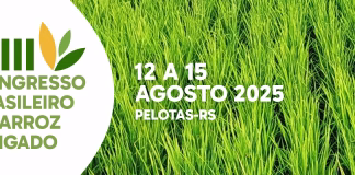 COMEÇA HOJE EM PELOTAS O XIII CONGRESSO BRASILEIRO DE ARROZ IRRIGADO
