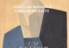 UMA IRONIA BEM-HUMORADA E GENTIL