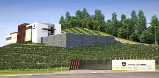 BODEGA IRIBARREM: BASCO LOCO CHARDONAY, O MELHOR BRANCO DA CATEGORIA