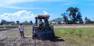 SEMEADURA DE ARROZ NO RS APROXIMA-SE DO ENCERRAMENTO