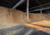 CANDIOTA: DO CAMPO AO CIMENTO, COMO A BIOMASSA AJUDA A REDUZIR A PEGADA DE CARBONO DA CONSTRUÇÃO CIVIL NO BRASIL