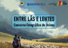 PINHEIRO MACHADO LANÇA O 1º CONCURSO FOTOGRÁFICO “ENTRE LÃS E LENTES” PARA VALORIZAR A OVINOCULTURA