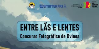 PINHEIRO MACHADO LANÇA O 1º CONCURSO FOTOGRÁFICO “ENTRE LÃS E LENTES” PARA VALORIZAR A OVINOCULTURA
