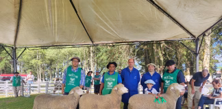 INSCRIÇÕES PARA ANIMAIS PARTICIPAREM DA 42ª FEOVELHA ENCERRAM DIA 21