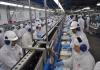 QUASE METADE DOS INDUSTRIAIS PREVÊ AUMENTO DO ENDIVIDAMENTO DIZ CNI