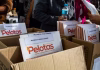 PELOTAS CADASTRA CINCO ÁREAS DA UNIÃO PARA REGULARIZAÇÃO