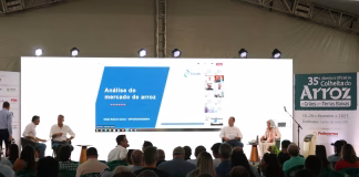 REUNIÃO DA CÂMARA SETORIAL DO ARROZ VAI BUSCAR ALTERNATIVAS PRÁTICAS PARA A CRISE DO SETOR