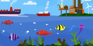 ARTIGO: ECONOMIA DO MAR (BLUE ECONOMY) – CONVERGÊNCIA E OPORTUNIDADES