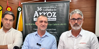 CONAB ESTÁ AUTORIZADA A REALIZAR LEILÕES DE APOIO AO ESCOAMENTO DE ARROZ