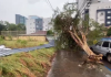 CICLONE EXTRATROPICAL E FRENTE FRIA SÃO PREVISÕES PARA O RS