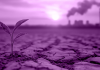 ARTIGO – A CRISE CLIMÁTICA E O TESTE DA DEMOCRACIA