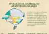 COLHEITA DO ARROZ AVANÇA PARA FASE FINAL NO RS