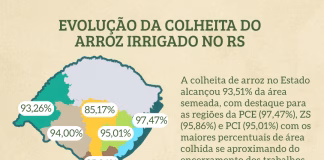 COLHEITA DO ARROZ AVANÇA PARA FASE FINAL NO RS