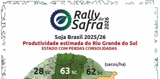 RS: O GIGANTE ADORMECIDO QUE PRECISA DE VONTADE POLÍTICA PARA DESPERTAR