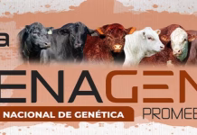 FENAGEN PROMEBO 2026