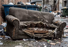 ARTIGO – ABANDONO