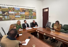 AZEITE DE OLIVA MAIS QUE DOBRA ANTIGO RECORDE E SUPERA 1,4 MILHÃO DE LITROS