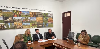 AZEITE DE OLIVA MAIS QUE DOBRA ANTIGO RECORDE E SUPERA 1,4 MILHÃO DE LITROS