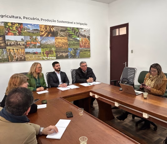 AZEITE DE OLIVA MAIS QUE DOBRA ANTIGO RECORDE E SUPERA 1,4 MILHÃO DE LITROS